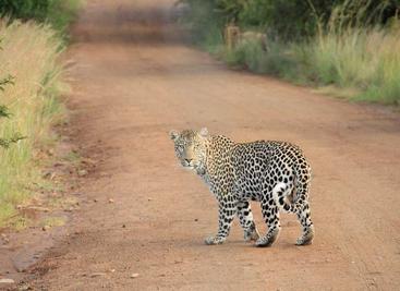 c++实现按行读取文本文件