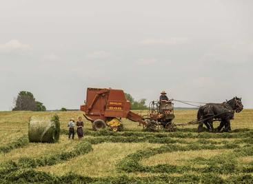 websocket测试工具，支持ws wss客户端