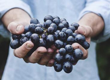 使用WebDAV来上传和下载文件