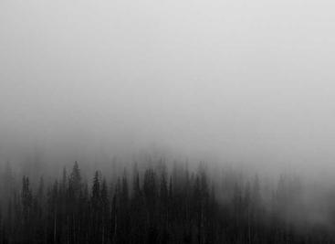 MySpeed
开箱即用的网速测试工具