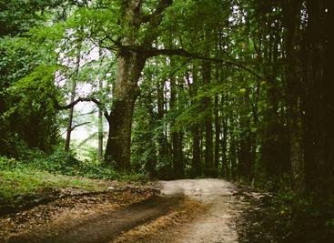 WeClone用微信聊天记录微调大语言模型