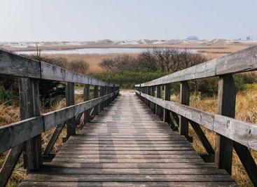 WeClone用微信聊天记录微调大语言模型