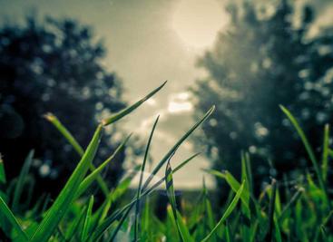 EasyTshark&mdash;&mdash;适合小白的流量分析工具