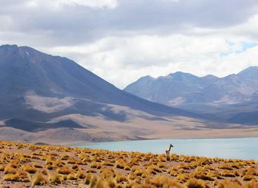 使用WebDAV来上传和下载文件