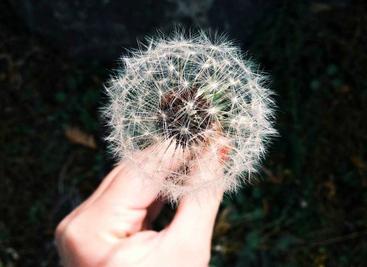 从零开始训练小型语言模型