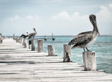 EasyTshark&mdash;&mdash;适合小白的流量分析工具