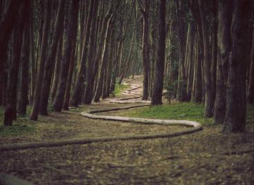 一套企业级 UI 设计语言和 React 组件库。